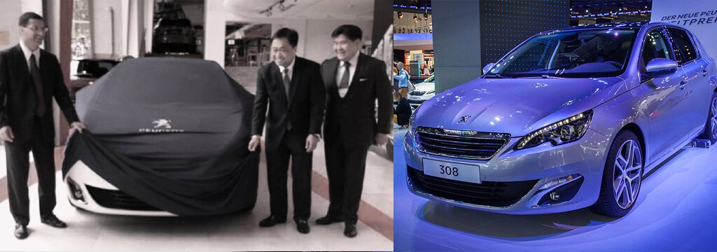 Peugeot Executives in Business Mission